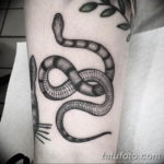Фото красивые тату змеи 12.08.2019 №008 - beautiful snake tattoos - tatufoto.com