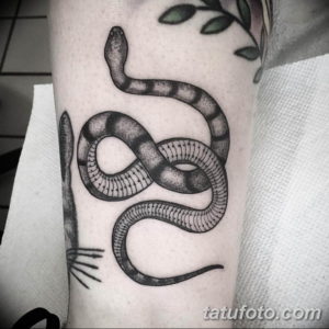 Фото красивые тату змеи 12.08.2019 №008 - beautiful snake tattoos - tatufoto.com