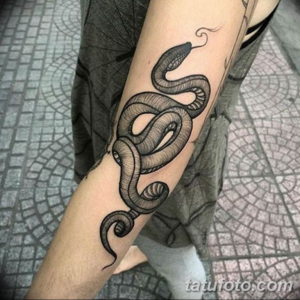 Фото красивые тату змеи 12.08.2019 №015 - beautiful snake tattoos - tatufoto.com