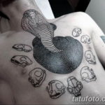 Фото красивые тату змеи 12.08.2019 №016 - beautiful snake tattoos - tatufoto.com
