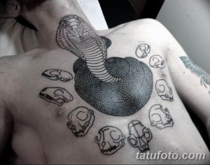 Фото красивые тату змеи 12.08.2019 №016 - beautiful snake tattoos - tatufoto.com