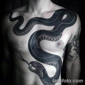 Фото красивые тату змеи 12.08.2019 №017 - beautiful snake tattoos - tatufoto.com