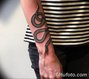 Фото красивые тату змеи 12.08.2019 №018 - beautiful snake tattoos - tatufoto.com