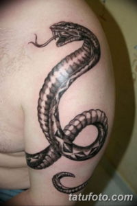 Фото красивые тату змеи 12.08.2019 №019 - beautiful snake tattoos - tatufoto.com