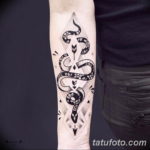 Фото красивые тату змеи 12.08.2019 №021 - beautiful snake tattoos - tatufoto.com
