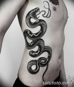 Фото красивые тату змеи 12.08.2019 №022 - beautiful snake tattoos - tatufoto.com