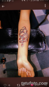 Фото красивые тату змеи 12.08.2019 №024 - beautiful snake tattoos - tatufoto.com
