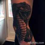 Фото красивые тату змеи 12.08.2019 №026 - beautiful snake tattoos - tatufoto.com
