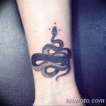 Фото красивые тату змеи 12.08.2019 №027 - beautiful snake tattoos - tatufoto.com