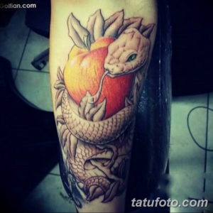 Фото красивые тату змеи 12.08.2019 №028 - beautiful snake tattoos - tatufoto.com