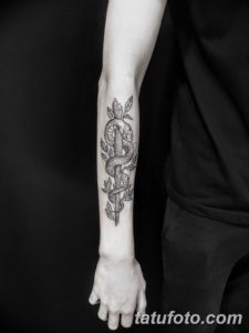 Фото красивые тату змеи 12.08.2019 №029 - beautiful snake tattoos - tatufoto.com