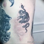 Фото красивые тату змеи 12.08.2019 №030 - beautiful snake tattoos - tatufoto.com