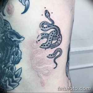 Фото красивые тату змеи 12.08.2019 №030 - beautiful snake tattoos - tatufoto.com