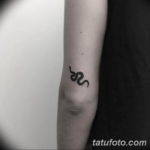 Фото красивые тату змеи 12.08.2019 №031 - beautiful snake tattoos - tatufoto.com
