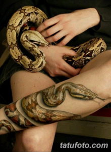 Фото красивые тату змеи 12.08.2019 №035 - beautiful snake tattoos - tatufoto.com