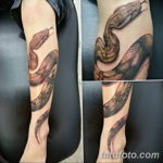 Фото красивые тату змеи 12.08.2019 №038 - beautiful snake tattoos - tatufoto.com