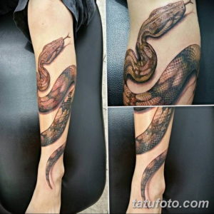 Фото красивые тату змеи 12.08.2019 №038 - beautiful snake tattoos - tatufoto.com