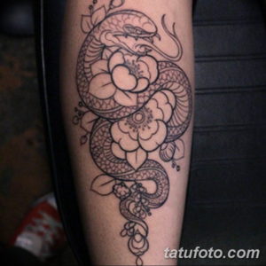 Фото красивые тату змеи 12.08.2019 №039 - beautiful snake tattoos - tatufoto.com