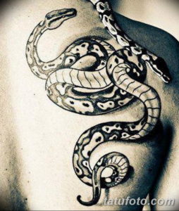 Фото красивые тату змеи 12.08.2019 №042 - beautiful snake tattoos - tatufoto.com