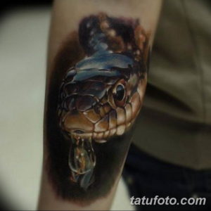 Фото красивые тату змеи 12.08.2019 №043 - beautiful snake tattoos - tatufoto.com