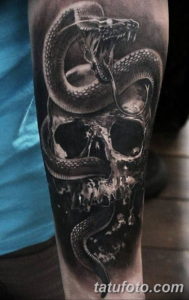 Фото красивые тату змеи 12.08.2019 №045 - beautiful snake tattoos - tatufoto.com