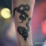 Фото красивые тату змеи 12.08.2019 №046 - beautiful snake tattoos - tatufoto.com