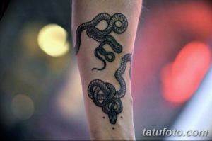 Фото красивые тату змеи 12.08.2019 №046 - beautiful snake tattoos - tatufoto.com