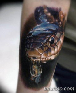 Фото красивые тату змеи 12.08.2019 №049 - beautiful snake tattoos - tatufoto.com