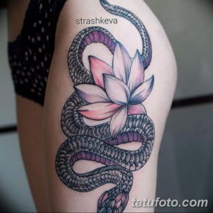Фото красивые тату змеи 12.08.2019 №051 - beautiful snake tattoos - tatufoto.com