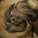 Фото красивые тату змеи 12.08.2019 №052 - beautiful snake tattoos - tatufoto.com