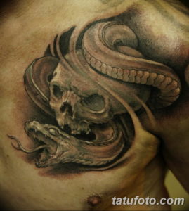Фото красивые тату змеи 12.08.2019 №052 - beautiful snake tattoos - tatufoto.com