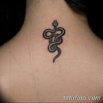 Фото красивые тату змеи 12.08.2019 №056 - beautiful snake tattoos - tatufoto.com