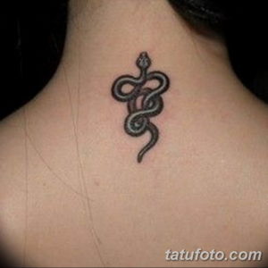 Фото красивые тату змеи 12.08.2019 №056 - beautiful snake tattoos - tatufoto.com
