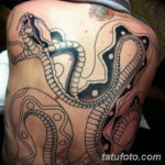 Фото красивые тату змеи 12.08.2019 №059 - beautiful snake tattoos - tatufoto.com