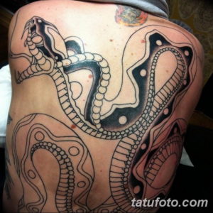 Фото красивые тату змеи 12.08.2019 №059 - beautiful snake tattoos - tatufoto.com