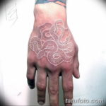 Фото красивые тату змеи 12.08.2019 №060 - beautiful snake tattoos - tatufoto.com