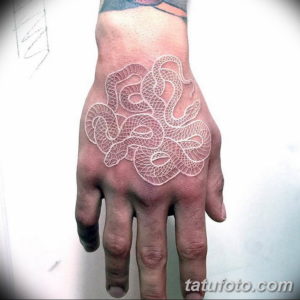 Фото красивые тату змеи 12.08.2019 №060 - beautiful snake tattoos - tatufoto.com