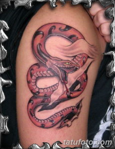 Фото красивые тату змеи 12.08.2019 №062 - beautiful snake tattoos - tatufoto.com