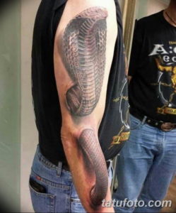 Фото красивые тату змеи 12.08.2019 №065 - beautiful snake tattoos - tatufoto.com