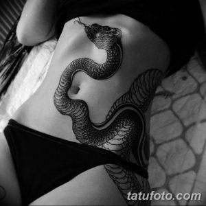 Фото красивые тату змеи 12.08.2019 №069 - beautiful snake tattoos - tatufoto.com