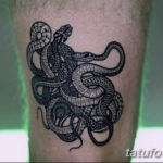 Фото красивые тату змеи 12.08.2019 №071 - beautiful snake tattoos - tatufoto.com