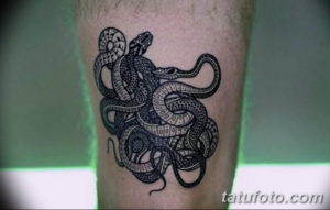 Фото красивые тату змеи 12.08.2019 №071 - beautiful snake tattoos - tatufoto.com