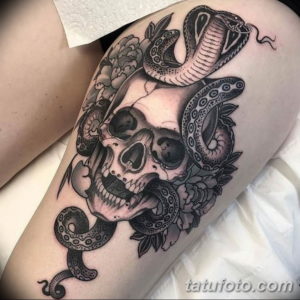 Фото красивые тату змеи 12.08.2019 №073 - beautiful snake tattoos - tatufoto.com