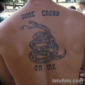 Фото красивые тату змеи 12.08.2019 №075 - beautiful snake tattoos - tatufoto.com