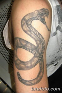 Фото красивые тату змеи 12.08.2019 №076 - beautiful snake tattoos - tatufoto.com