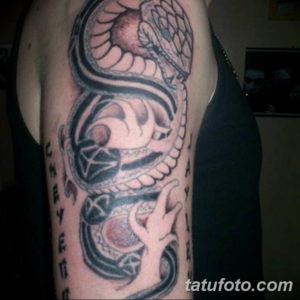 Фото красивые тату змеи 12.08.2019 №079 - beautiful snake tattoos - tatufoto.com