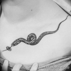 Фото красивые тату змеи 12.08.2019 №081 - beautiful snake tattoos - tatufoto.com