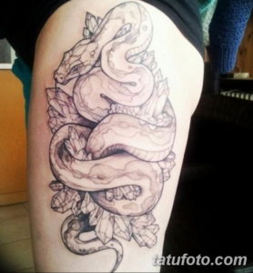 Фото красивые тату змеи 12.08.2019 №084 - beautiful snake tattoos - tatufoto.com