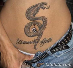 Фото красивые тату змеи 12.08.2019 №085 - beautiful snake tattoos - tatufoto.com