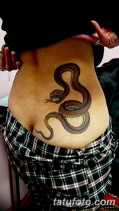 Фото красивые тату змеи 12.08.2019 №086 - beautiful snake tattoos - tatufoto.com